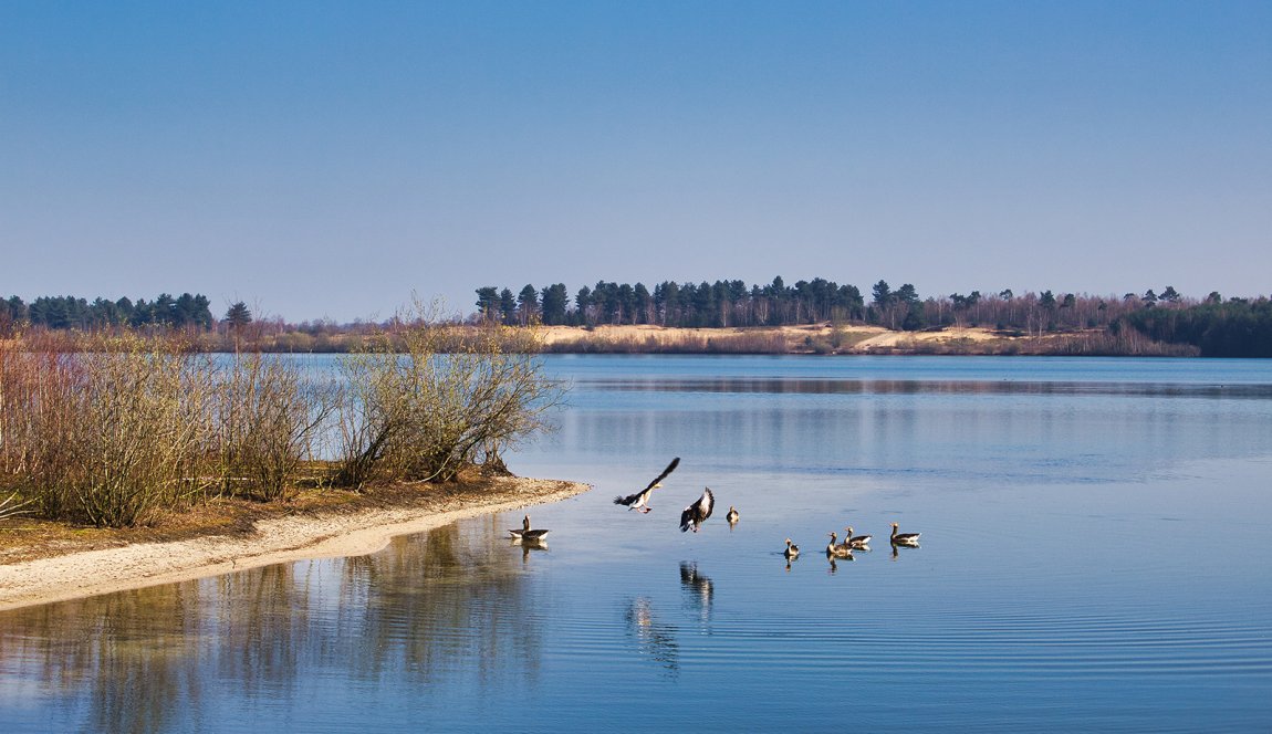 Nationaal Park De Maasduinen