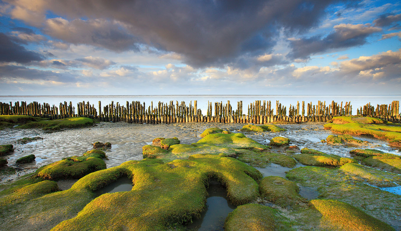 Groningen wadden sea coast at low tide