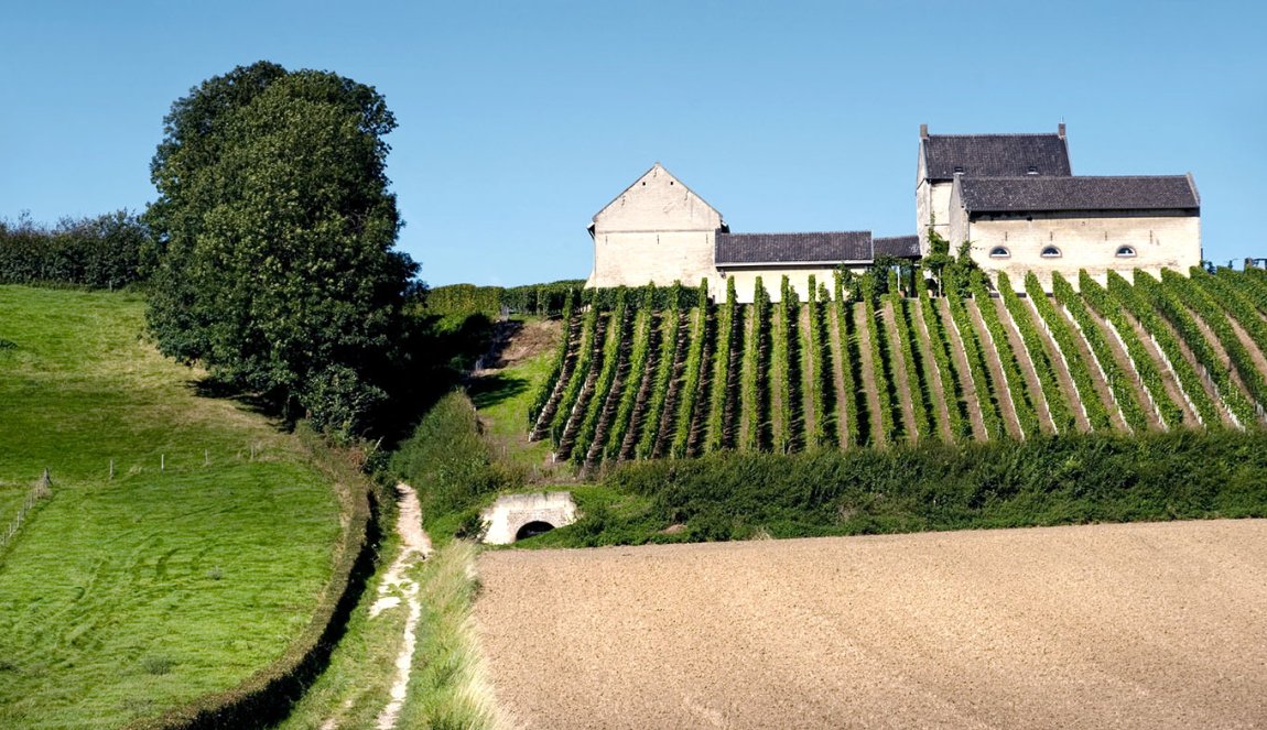 Vineyard Apostelhoeve