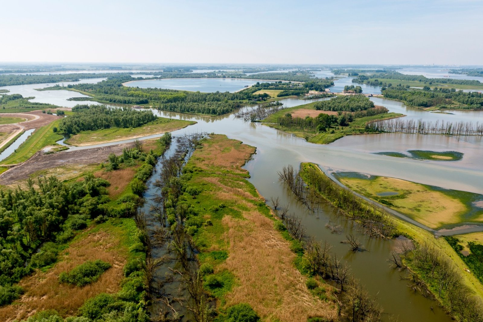 National Park the Biesbosch