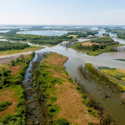 National Park the Biesbosch