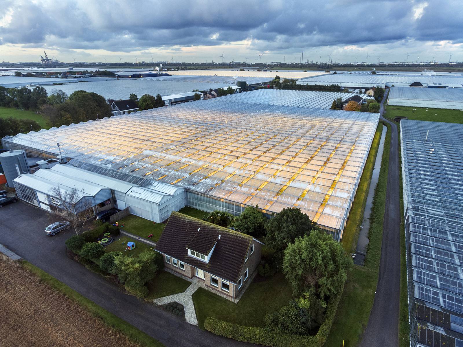 Greenhouses in Westland