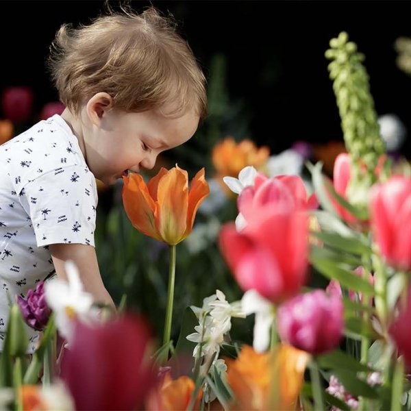 Child in Keukenhof