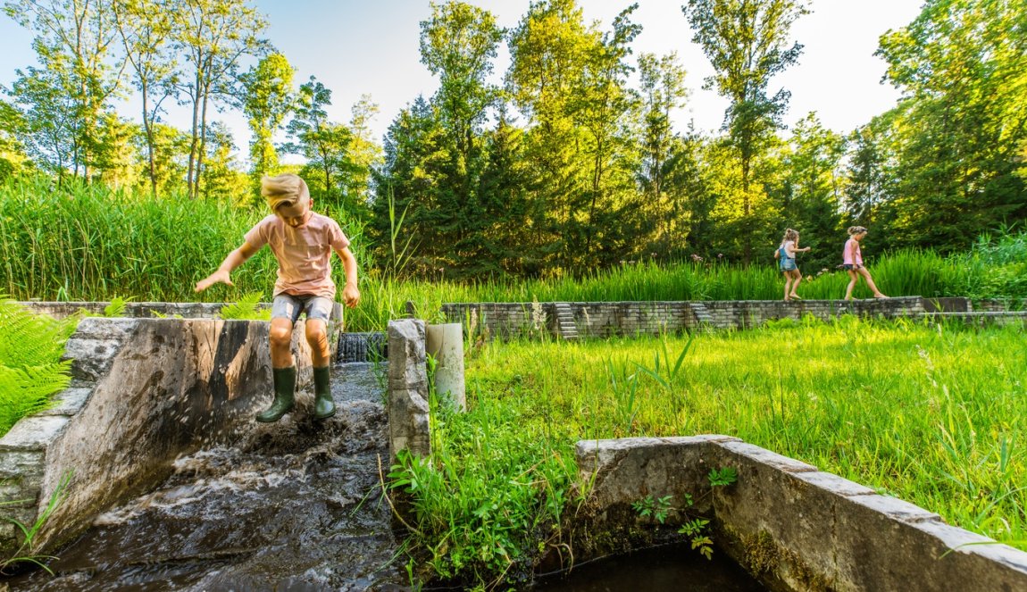 Kids playing at Waterloopbos Noordoostpolder