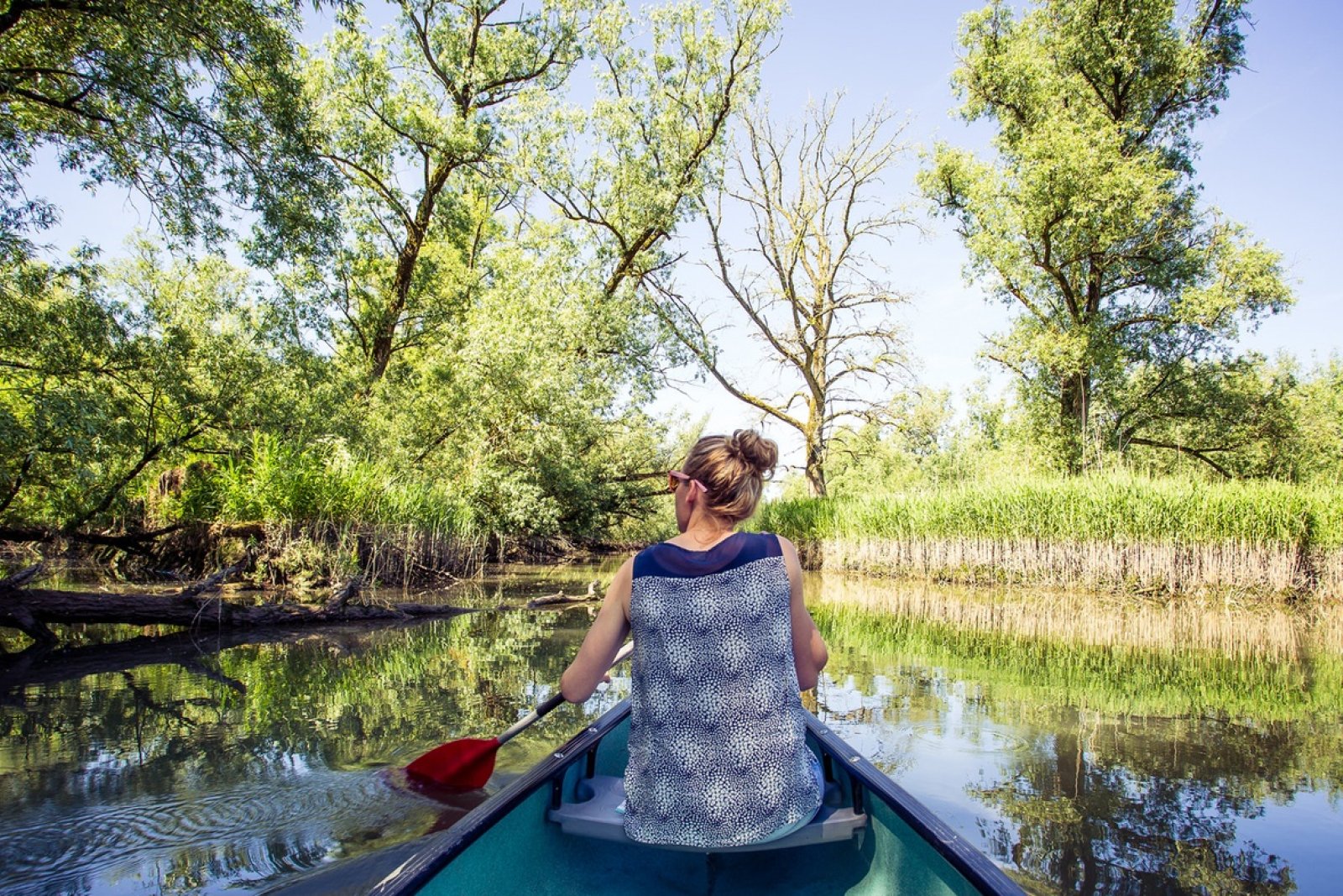 National Park de Biesbosch woman canoeing