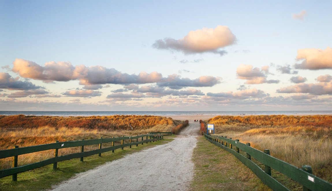 Schiermonnikoog sereen road to the beach