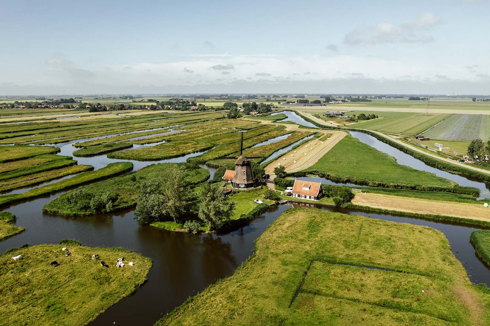 Windmill in polder landscape