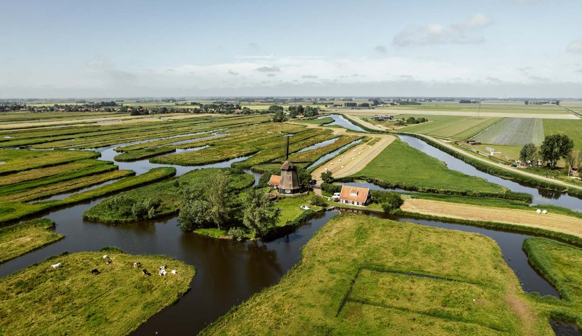 Windmill in polder landscape