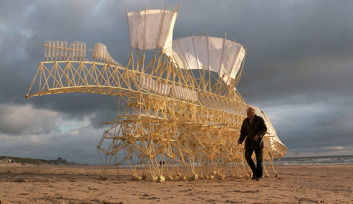 Animaris Umerus, Scheveningen 2009