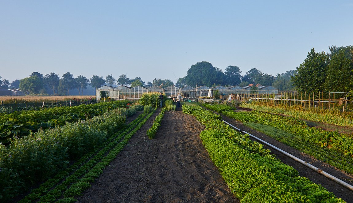 Greenhouse Beemster Restaurant De Kas