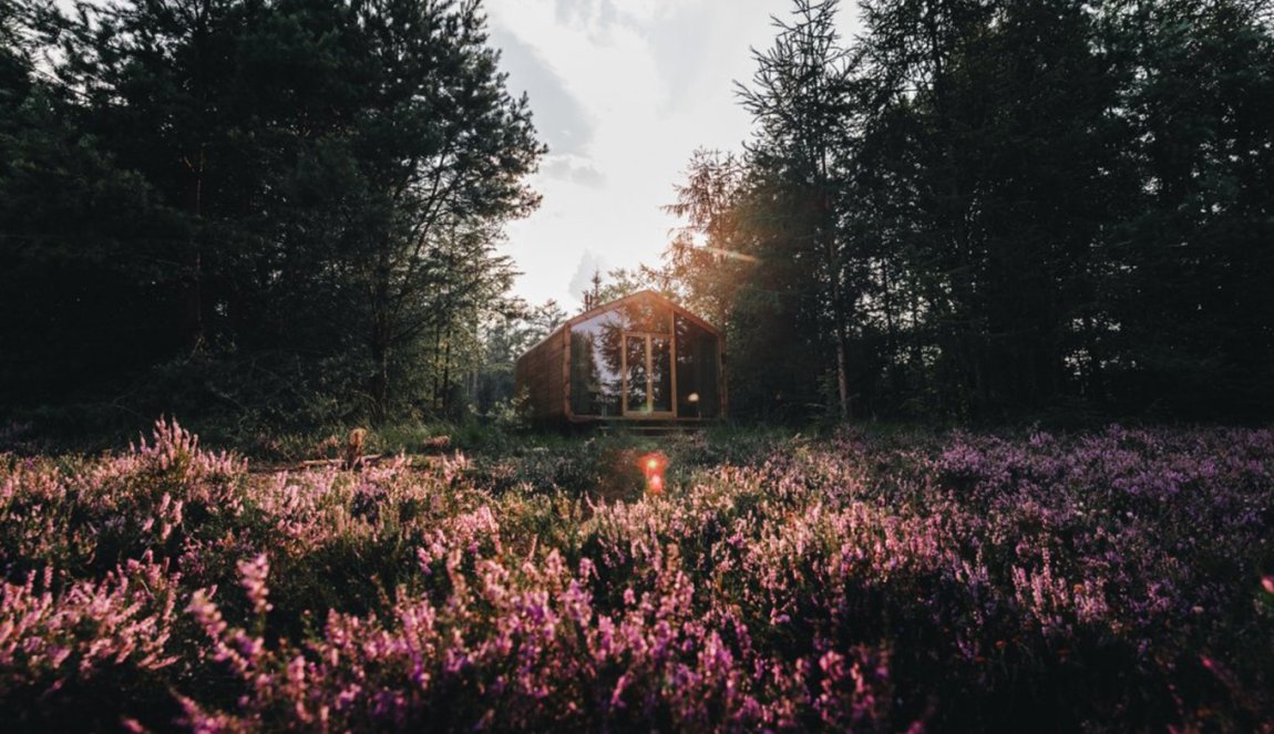 Tiny house on the heath at Cabiner - Drenthe 