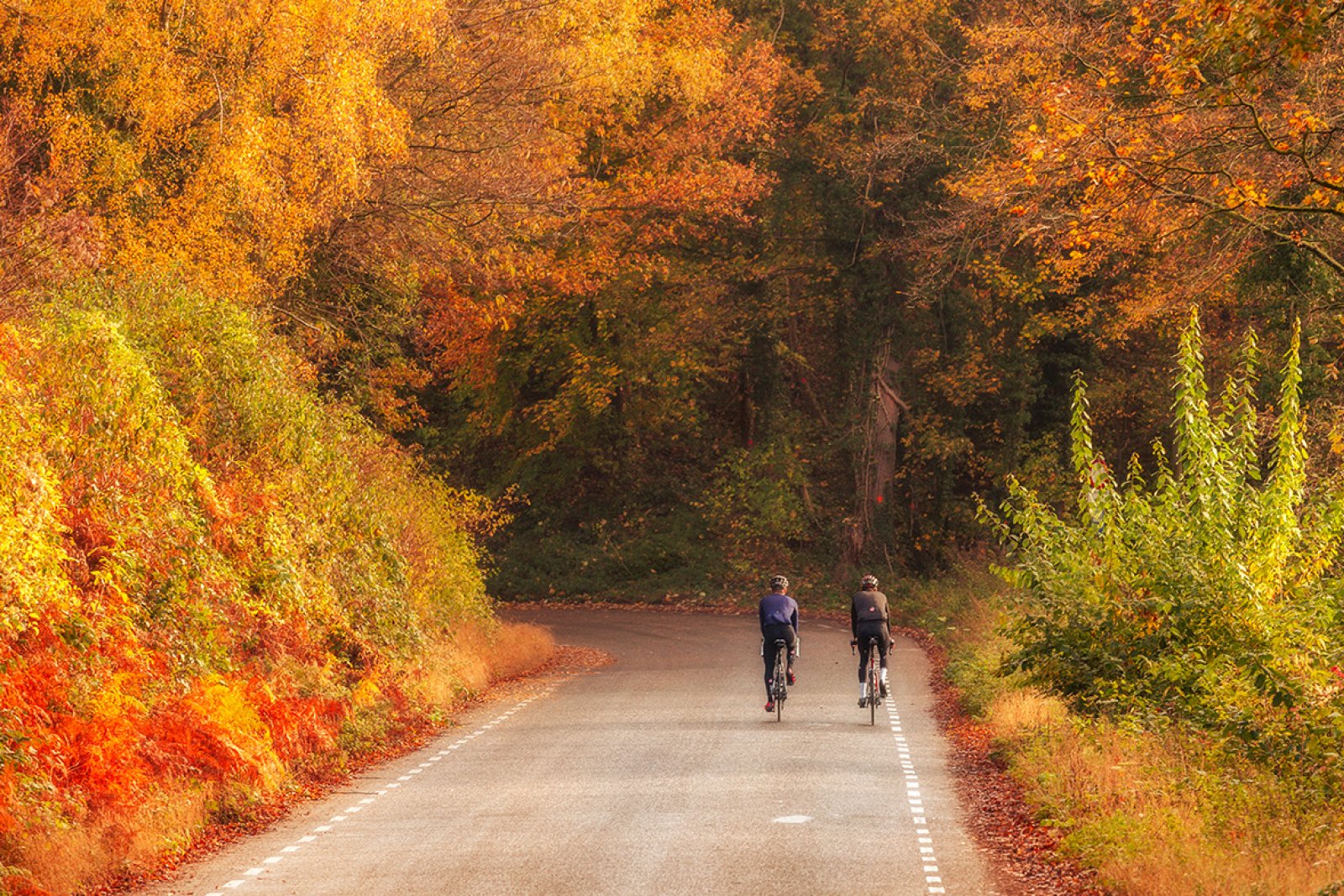 Cyclists South Limburg 