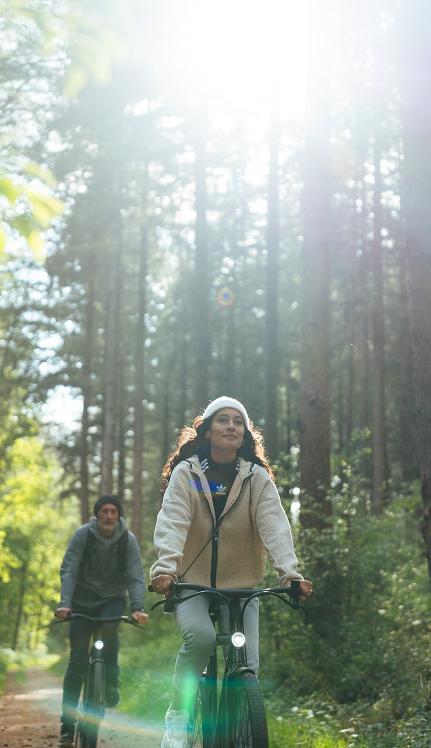 Cyclists in the forest with sun through the trees