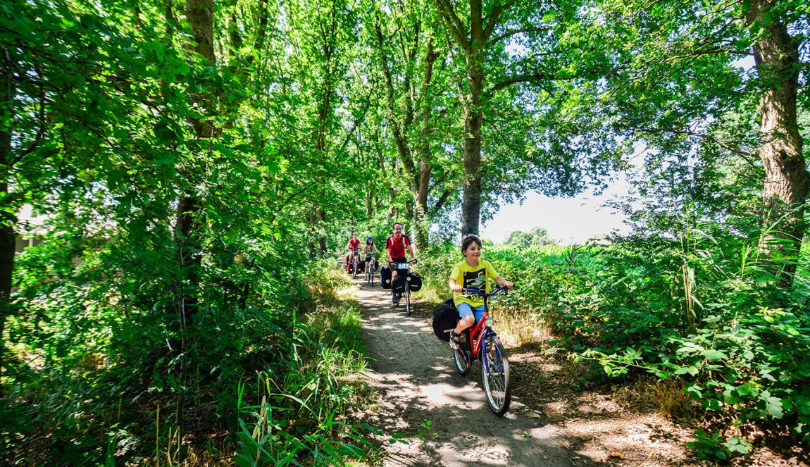 Family on bicycle vacation