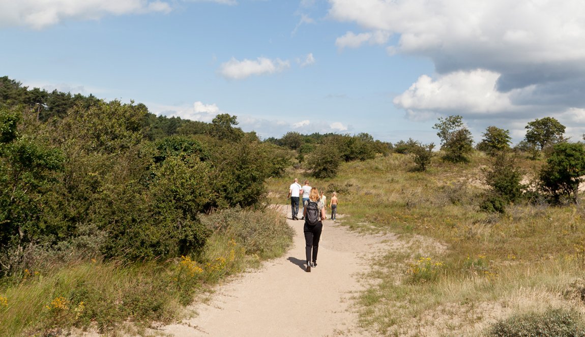 Family walks in South-Kennemerland National Park