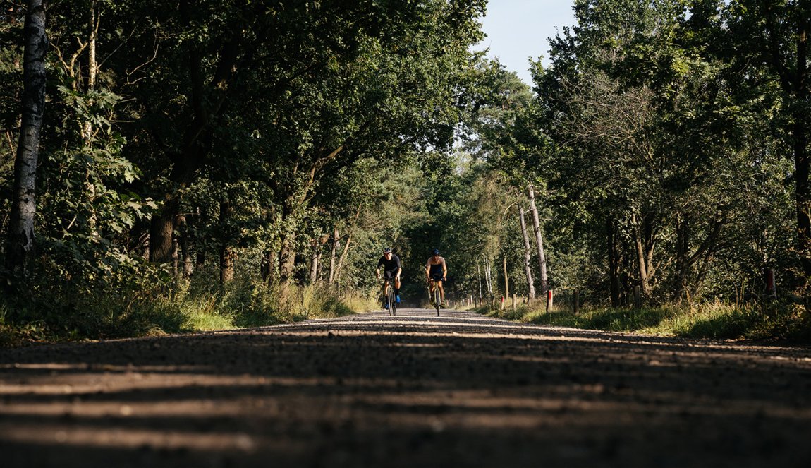 Cyclists through the forest Eindhoven