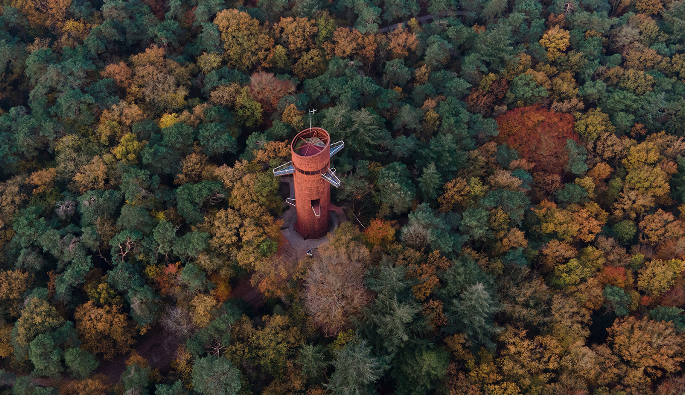 Bosbergtoren Appelscha in fall in Friesland