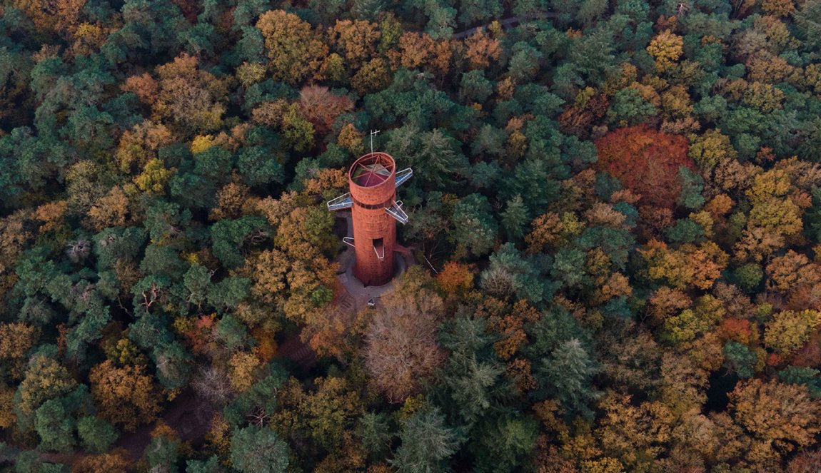 Bosbergtoren Appelscha in fall in Friesland