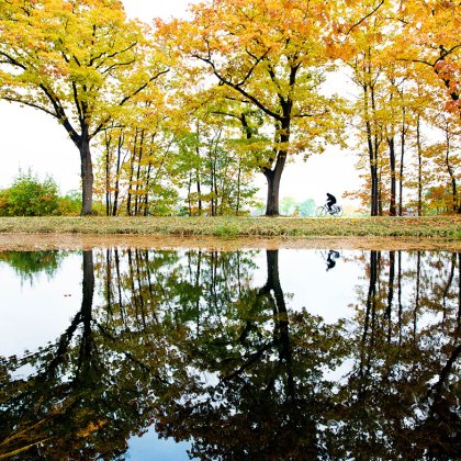 Cyclist through the forest in autumn colors with reflection in the water