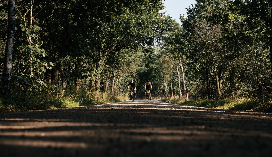 Sporty cycling through the forest