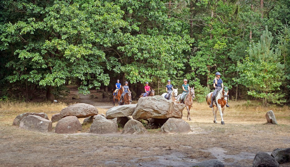 Horseback riding Drenthe - Hondsrug