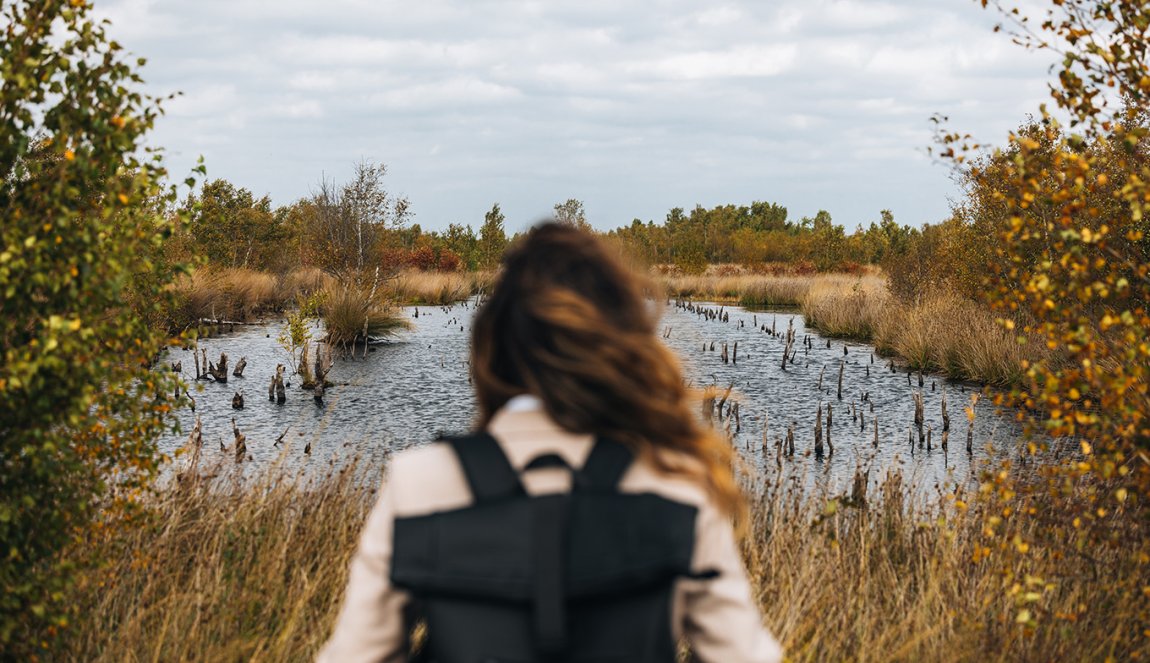 Nature reserve Bargerveen - Drenthe