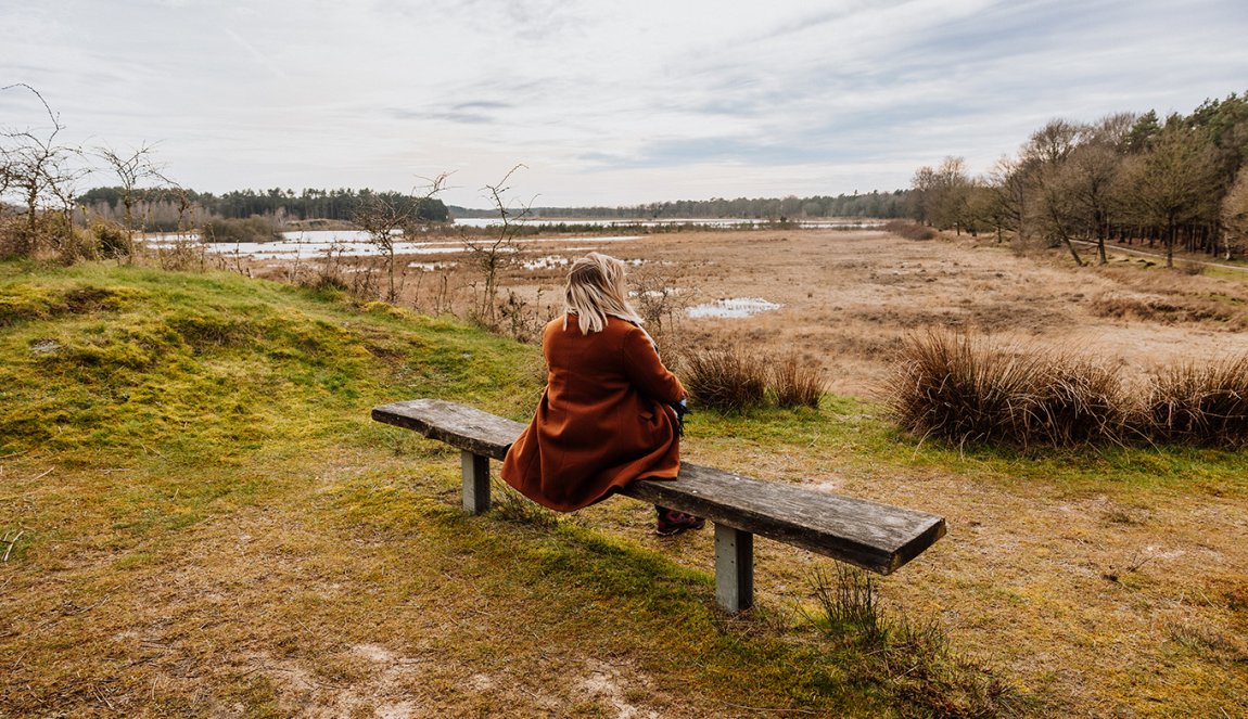 Van Gogh Drenthe sitting on bench peat bog