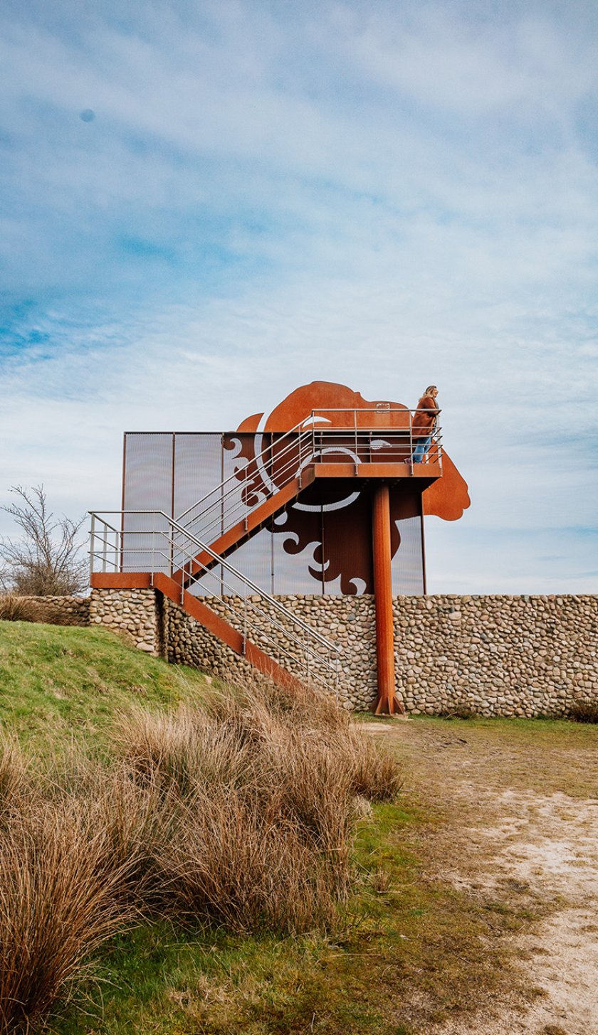 Van Gogh Drenthe viewpoint Schapenkop Dwingelerveld