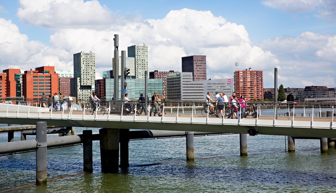 View of the Rijnhaven bridge from Katendrecht