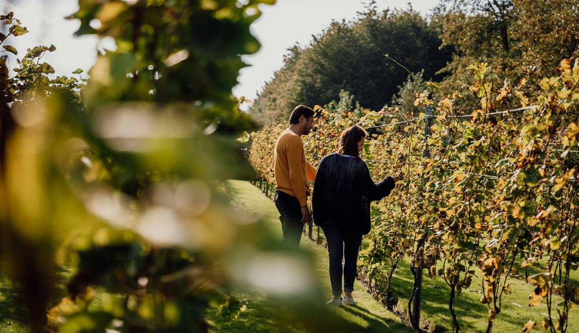 Stadswijngaard Hof van Almere is managed in an environmentally and people-friendly way