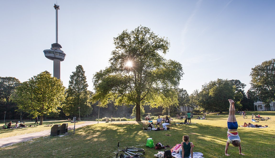 Chilling in The Park at the Euromast 