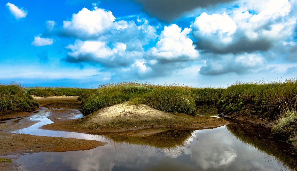 Slufter in National Parc Dunes of Texel