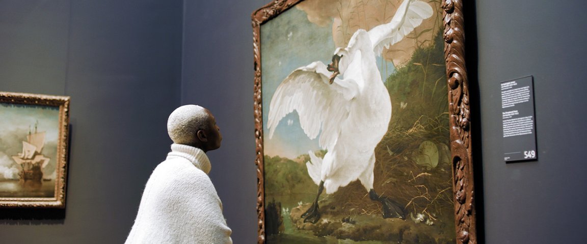 Woman views painting The endangered swan at Rijksmuseum. Painted by Dutch artist Jan Asselijn ca. 1650