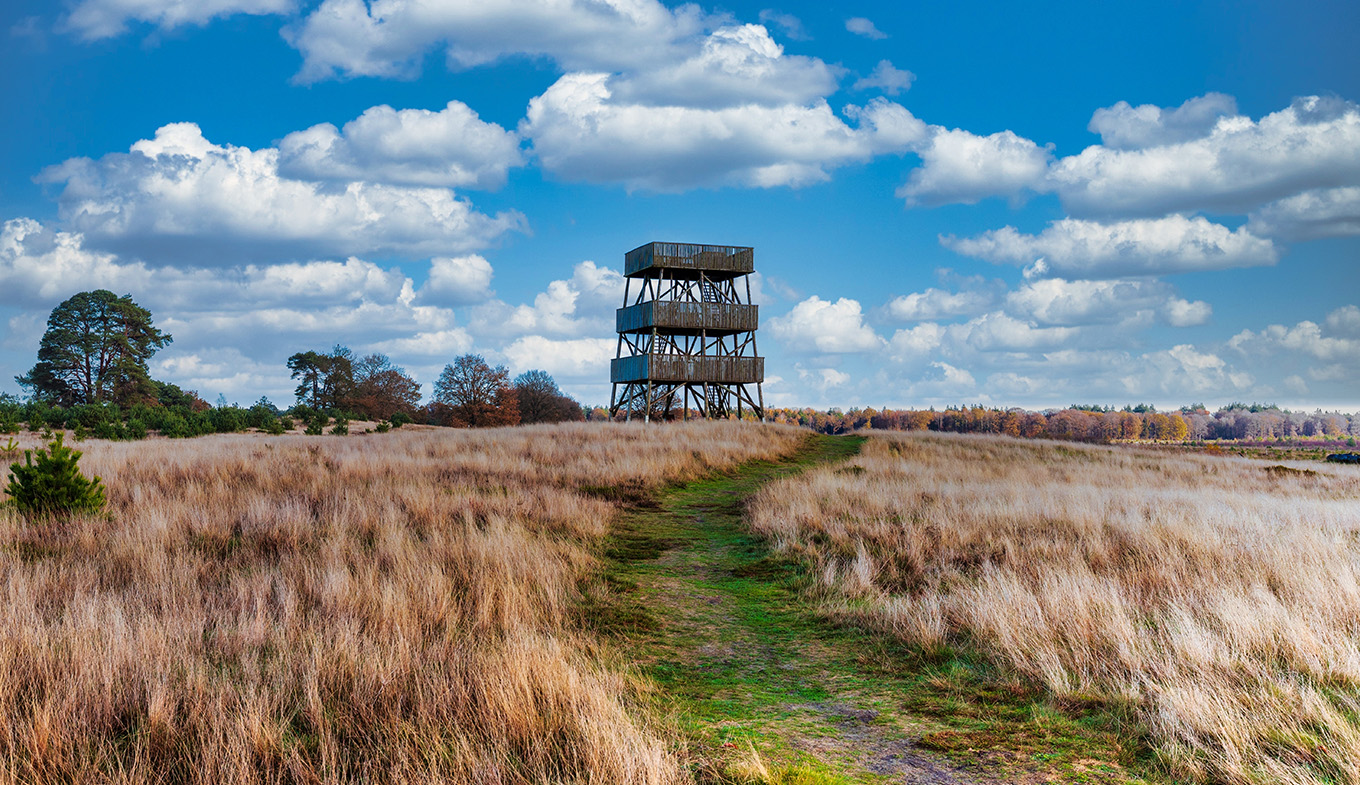 Publicly accessible lookout tower in Het Aekingerzand part of the Nationaal Park Drents-Friese Wold