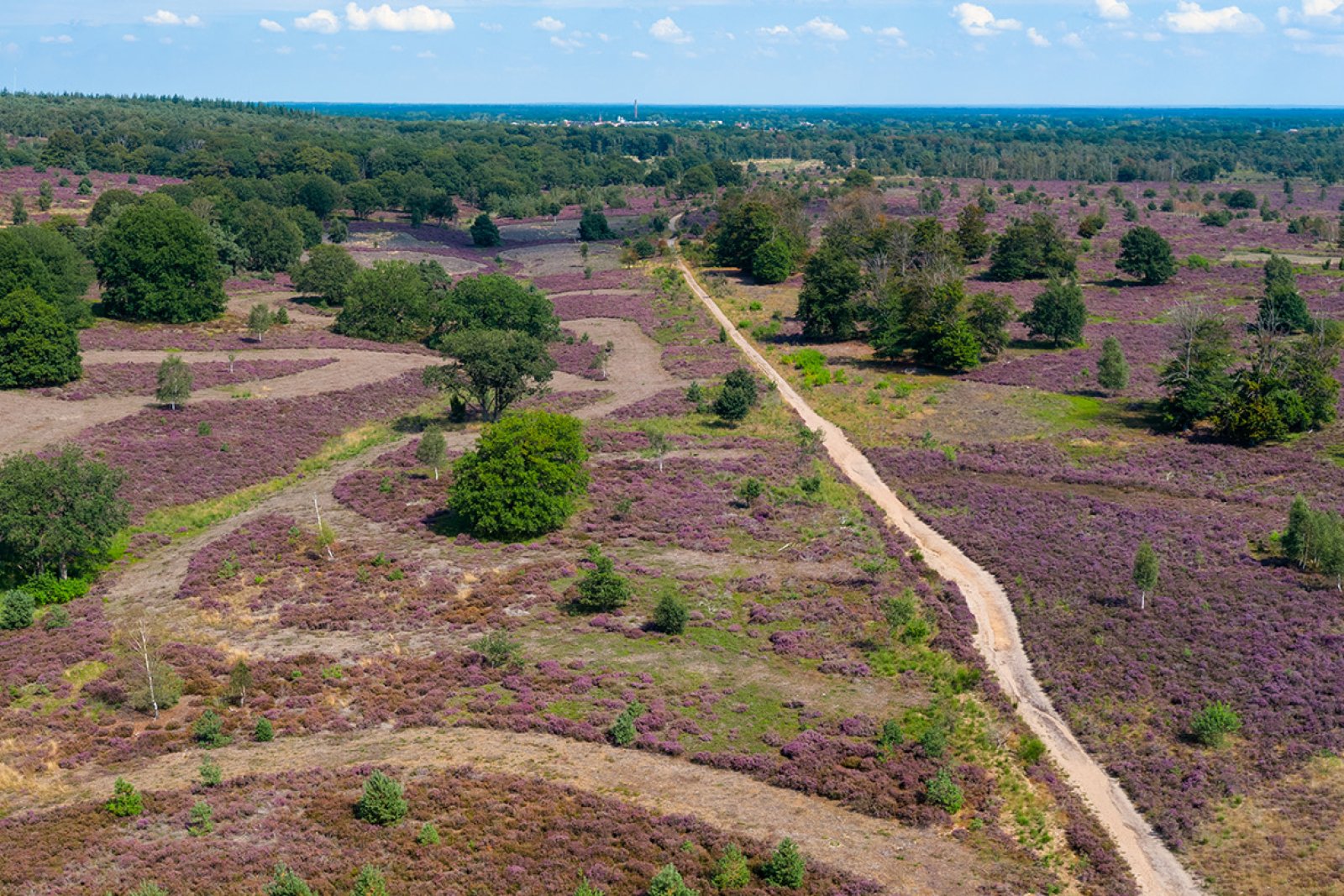 Drone view Sallandse Heuvelrug