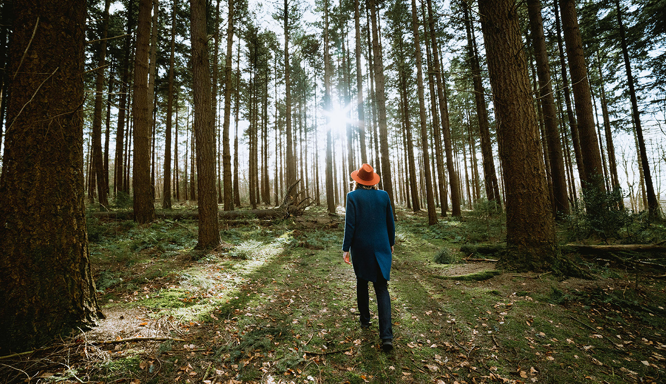 Woman walks through the Bergherbos forest in the Achterhoek region