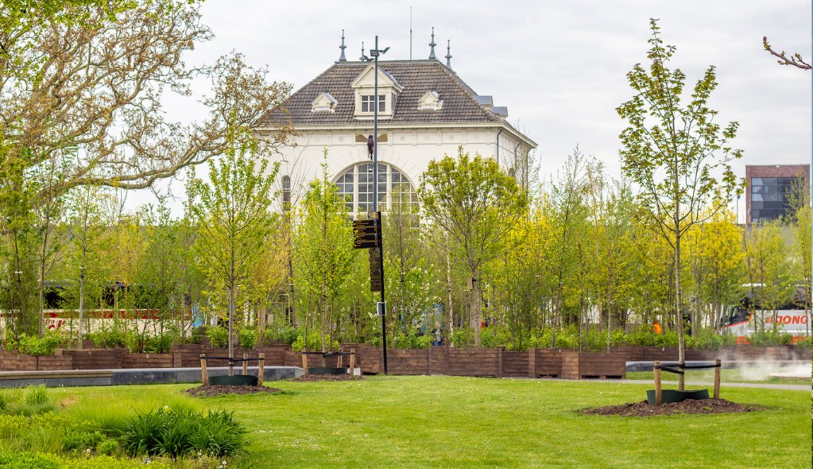 Bosk Leeuwarden