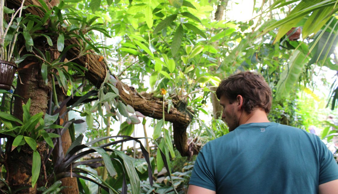 Delft Botanical Garden