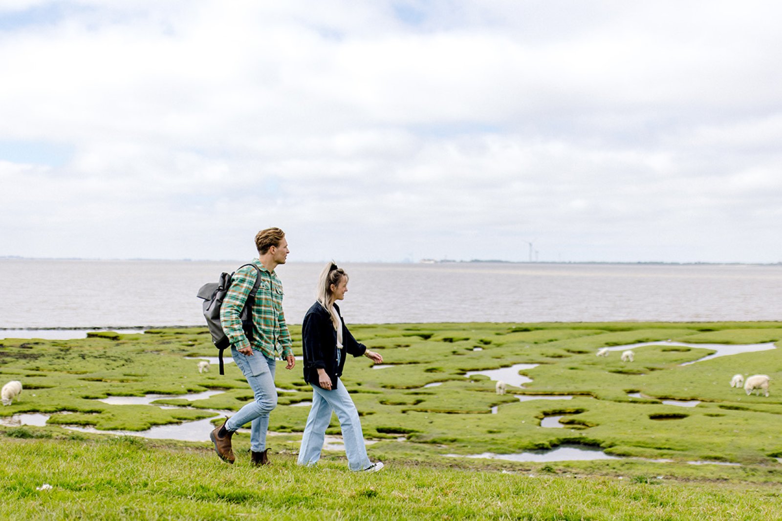 Wadden hiking Punt van Reide