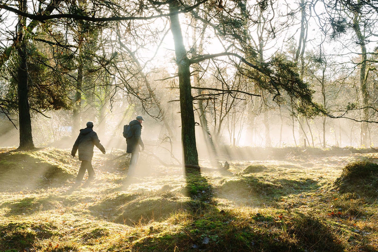 Winter hiking through the Drenth forest