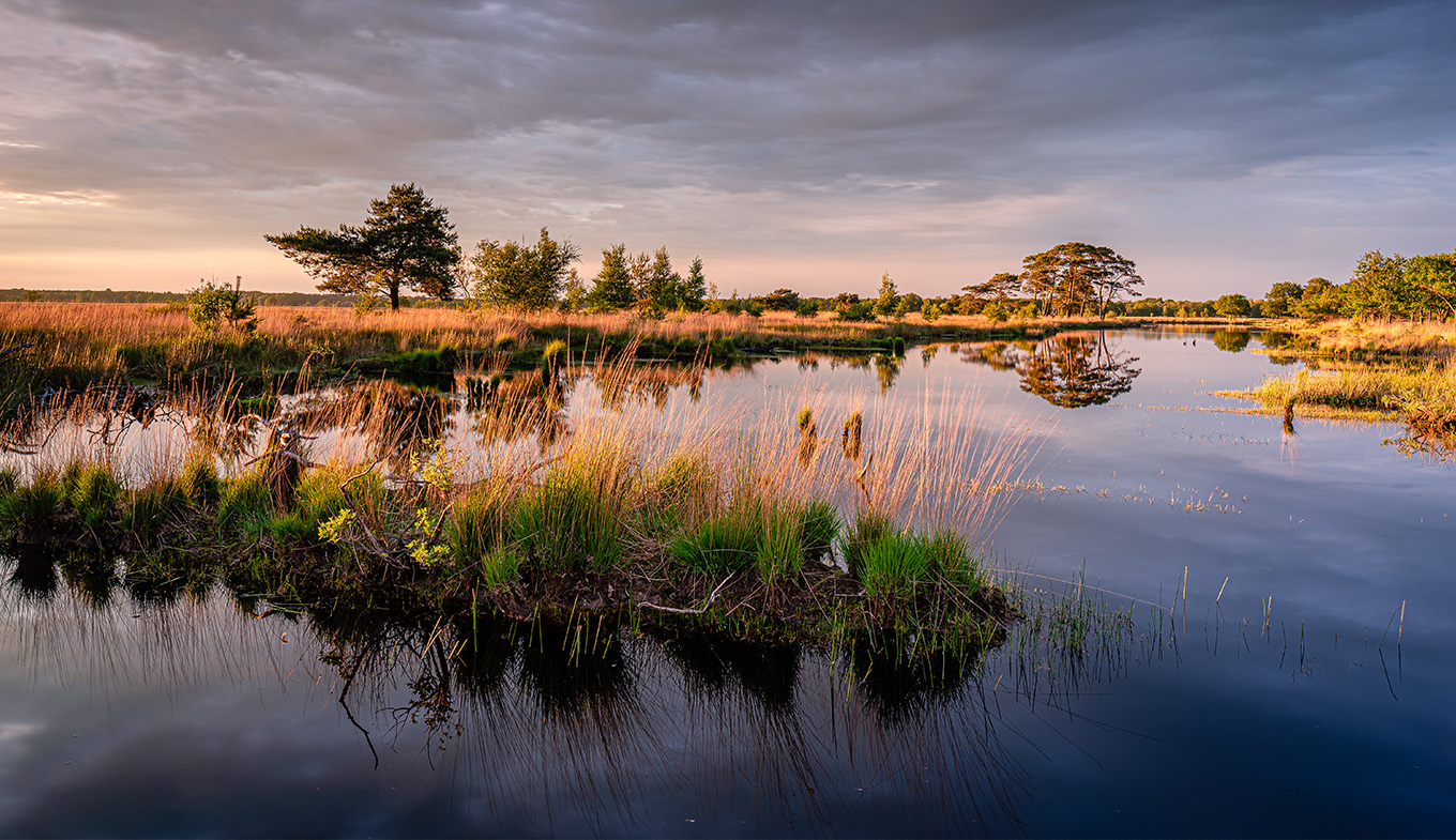 Trees and sunset frame a scenic lake and a sprawling moorland in the Dwingelderveld National Park