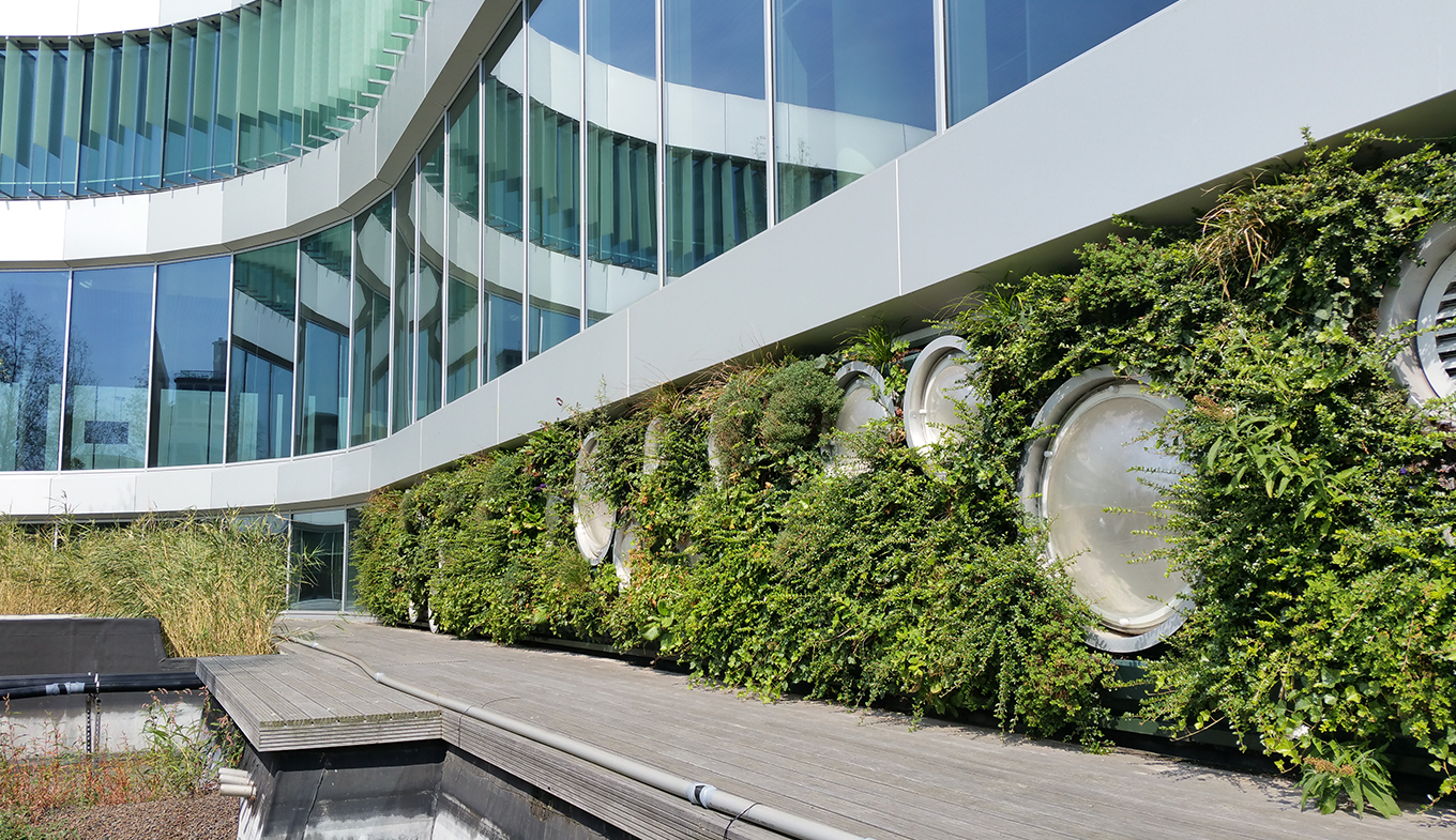 Facade with plants in Venlo